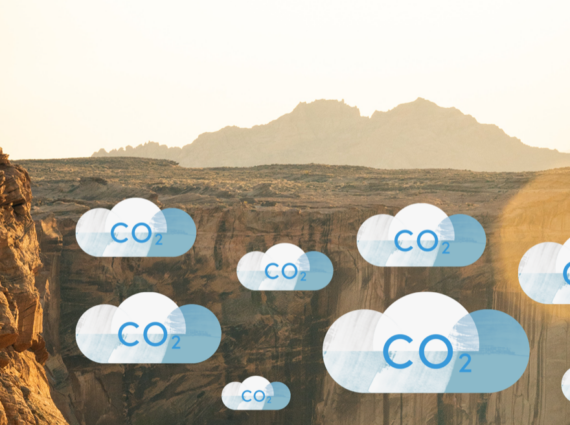 Jak zwizualizować sobie nasze emisje CO2? - Warto być eko