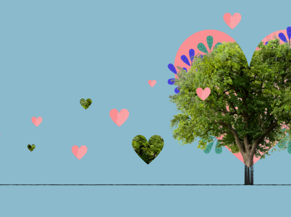 Z drzewami warto się przyjaźnić - Warto być eko
