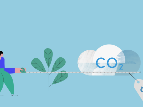 Czym właściwie jest kompensacja CO2? - Warto być eko