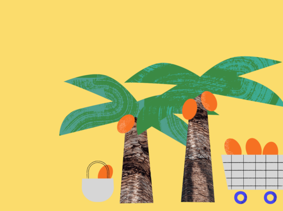 7 rzeczy, których prawdopodobnie nie wiecie o oleju palmowym - Warto być eko