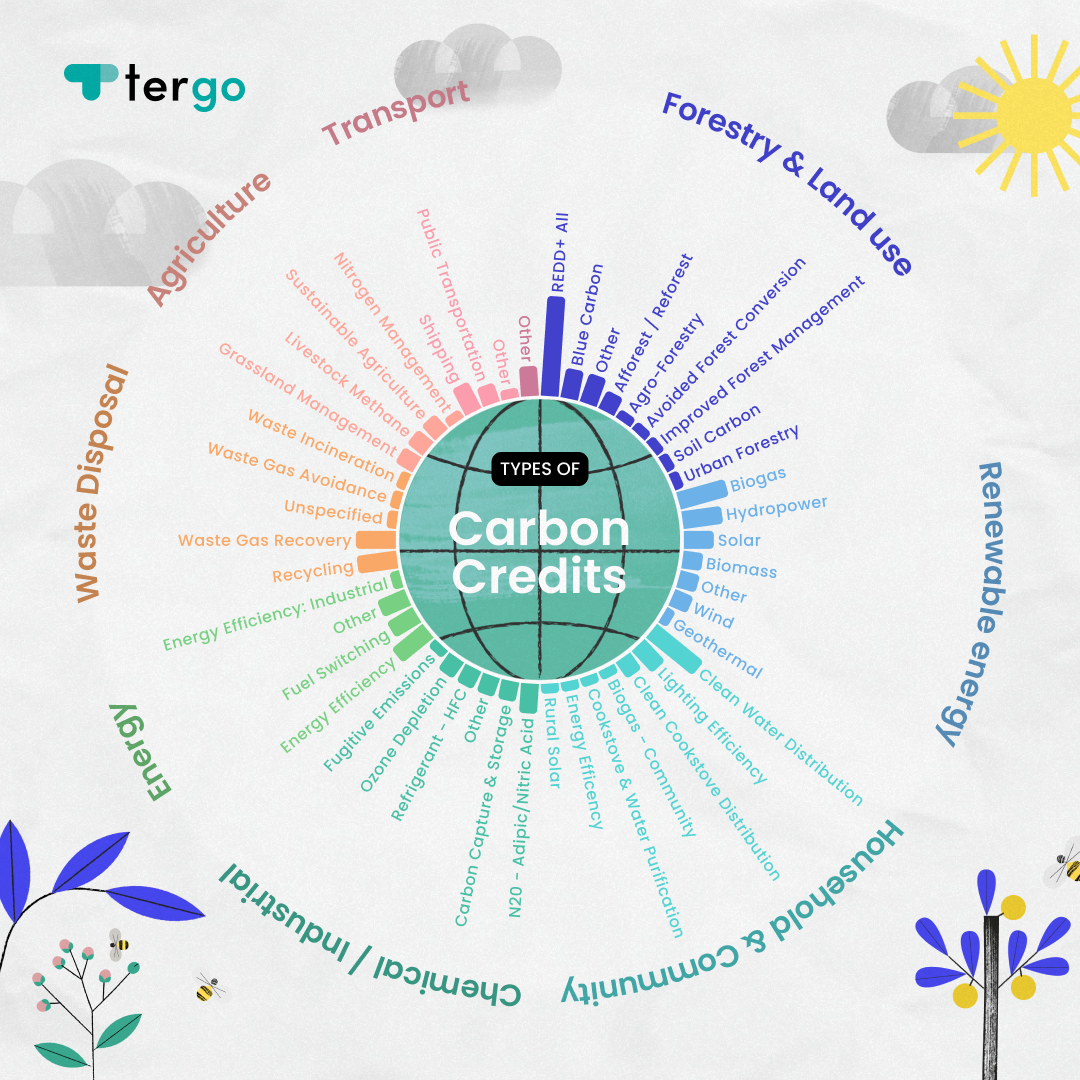 Carbon credits: CER, VER, TER